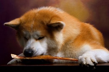 imToken钱包苹果版